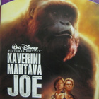 KAVERINI MAHTAVA JOE DVD - pikkukuva 1