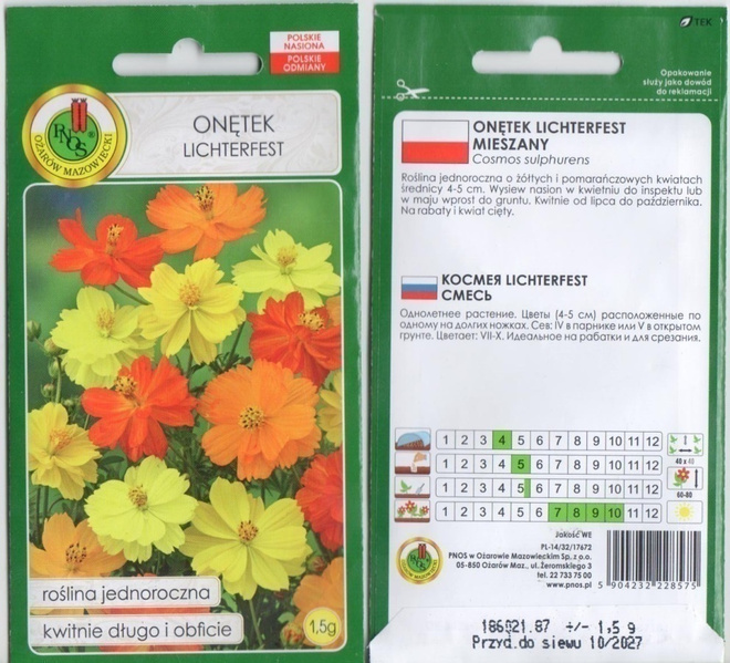 Keltakosmoskukka "Lichterfest" siemenet #