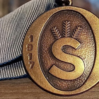 Suojeluskunta Kunniamerkki 1917-1944. Halkaisija - 31mm. - pikkukuva 4