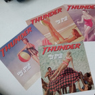 CD THUNDER - The Thrill of it all  ( Sis.postikulut ) - pikkukuva 3