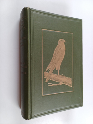 C. A. Johns : British Birds in Their Haunts