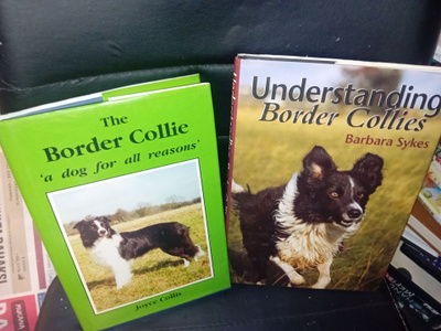 2 kpl Border Collie kirjoja ( SIS POSTIKULU)
