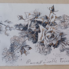Valkoisia ruusuja ja kultaa, onnittelupk, p. 1905 - pikkukuva 1