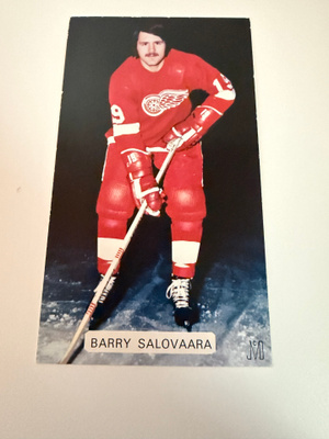 Barry Salovaara Detroit Red Wings JD McCarthy Postikortti