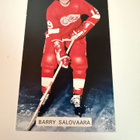 Barry Salovaara Detroit Red Wings JD McCarthy Postikortti - pikkukuva 1