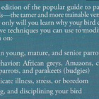 Rach Mancini Julie: Why Does My Bird Do That? - pikkukuva 3
