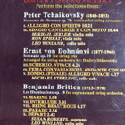 NEW EUROPEAN STRINGS - SOUVENIR DE KORSHOLM - pikkukuva 2