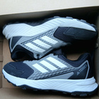 maastojuoksukengät Adidas Terrex 39,3 - pikkukuva 2