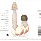 TORI AMOS:LITTLE EARTHQUAKES  CD - pikkukuva 2