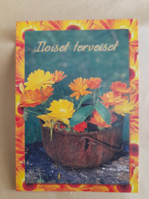 Iloiset terveiset - kehäkukat padassa