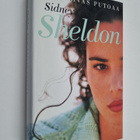 Sidney Sheldon : Kun taivas putoaa - pikkukuva 1