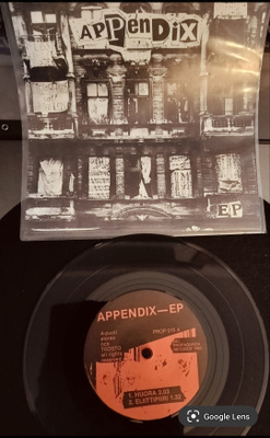 APPENDIX EP 1. Painos