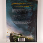 Erin Hunter : Viimeinen erämaa - pikkukuva 2