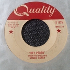 Chuck Berry sinkku - pikkukuva 1