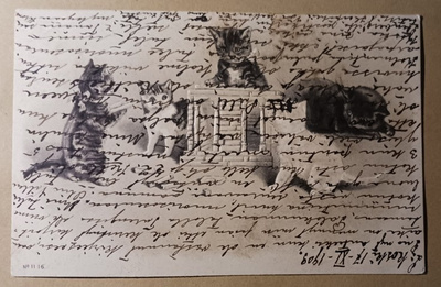 Neljä leikittelevää kissaa, kohopaino, p. 1908