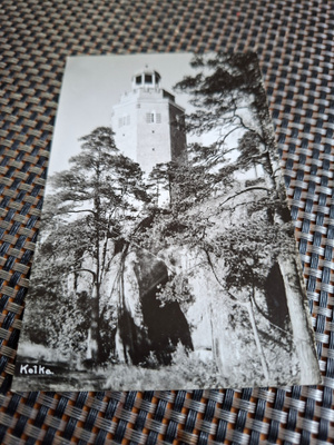 12 Kotka