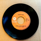 7" Keitetty hauki - pikkukuva 1