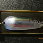 RAPALA NAUVO 95mm, 37g Väri: Live Herring - pikkukuva 2