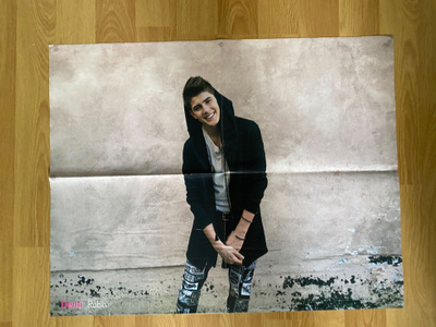 Robin juliste
