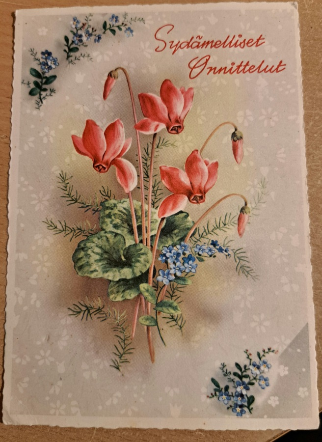 kukkakortti, syklaamit, kulkenut 1962
