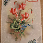 kukkakortti, syklaamit, kulkenut 1962 - pikkukuva 1