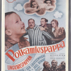 Poikamiespappa (DVD) - pikkukuva 1