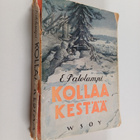 Erkki Palolampi : Kollaa kestää - pikkukuva 1