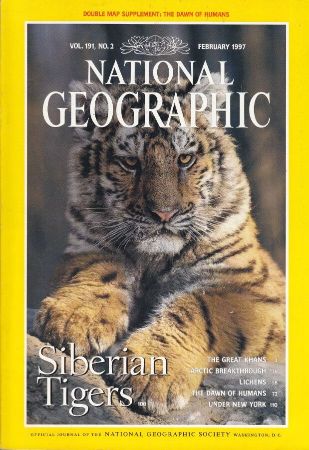 National Geographic vol.191 No.2 poster: Dawn of Humans