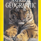 National Geographic vol.191 No.2 poster: Dawn of Humans - pikkukuva 1