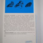 Lauri Siivonen : Pohjolan nisäkkäät = Mammals of Northern... - pikkukuva 2