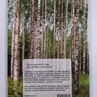 Juurikkalan 500 mottia - pikkukuva 2