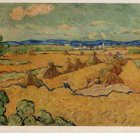 kortti ** Gogh Vincent van Luonnossa - erilaisia - pikkukuva 2