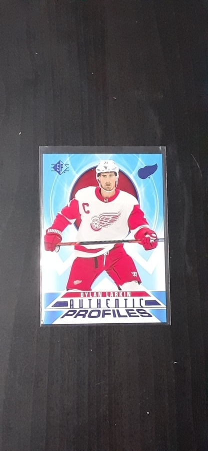 2020-21 SP Retail Authentic ProfilesBlue #AP-17 Dylan Larkin