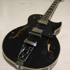 Green Guitars Comfort J&B Sähkökitara - pikkukuva 1