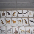 KOIRA PELIKORTIT, The famous dogs of the world - pikkukuva 3