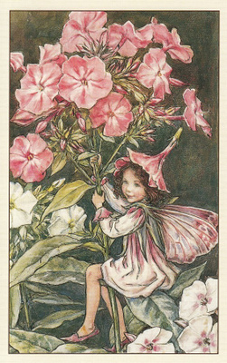 Cicely Mary Barker: Leimukukan keiju