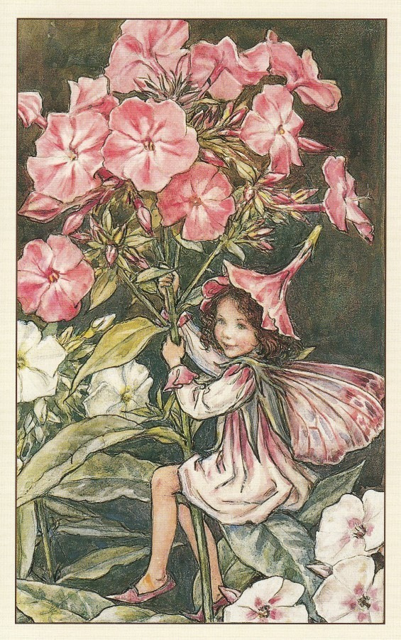 Cicely Mary Barker: Leimukukan keiju