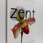 Ove Pihl : Zent : Touches of India : Colours, Fragrances,... - pikkukuva 1