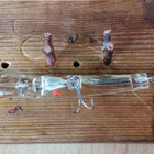 Shiner Baits  8cm - pikkukuva 4
