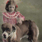LAPSI / Kiharatukkainen pieni tyttö ja suuri koira. 1900-l. - pikkukuva 1
