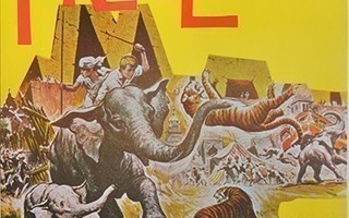 Elokuvajuliste: Tiikerilaakso