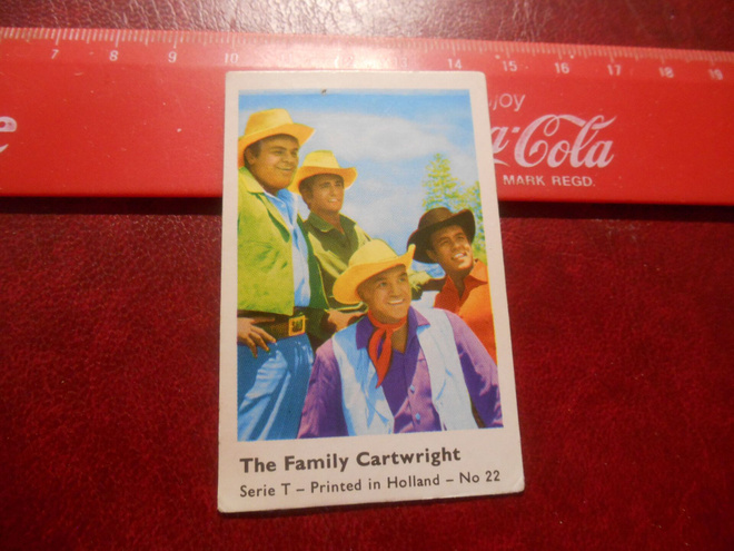 K11 Dandy Serie T. filmitähti# 22 The Family Cartwright