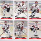 2017-18 Cardset Series 2 Sport Team Set 12 korttia (313-324) - pikkukuva 2