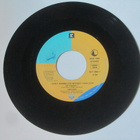 Chicago: I Don´t Wanna Live Without Your Love 7" single 1988 - pikkukuva 3