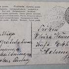 Nuori leidi ja helmikaulakoru, vanha väripk, p. 1910 - pikkukuva 2
