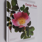 Ewige rose : Ein währender kalendar - pikkukuva 1