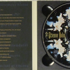 St. Etienne Daho • Reserection CD-EP - pikkukuva 2