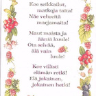 kortti ** Bastin Marjolein Marja kukka tai eläin- erilaisia - pikkukuva 2