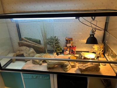 Terraario