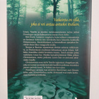 Britt Karin Larsen : Finnskogen, kiven kiilto - pikkukuva 2
